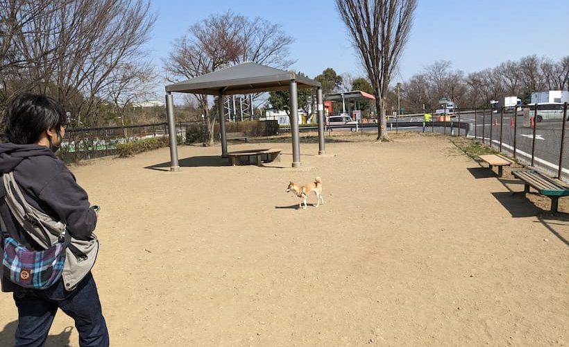 【高坂SA】関越道唯一のドッグラン付きSA、愛犬の休憩におすすめです