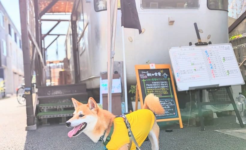 【草加市 MEOW】最近OPENしたパンケーキの犬OKなカフェに行ってみました♪