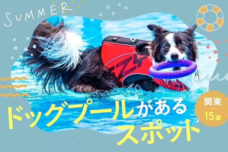 犬用プールがあるおすすめ施設15選｜関東近郊2023年最新版